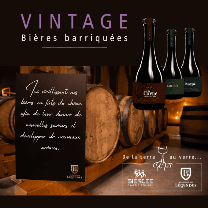 Ce chai est installe dans les anciennes chambres chaudes de la brasserie a Ellezelles (680 x 680 px)