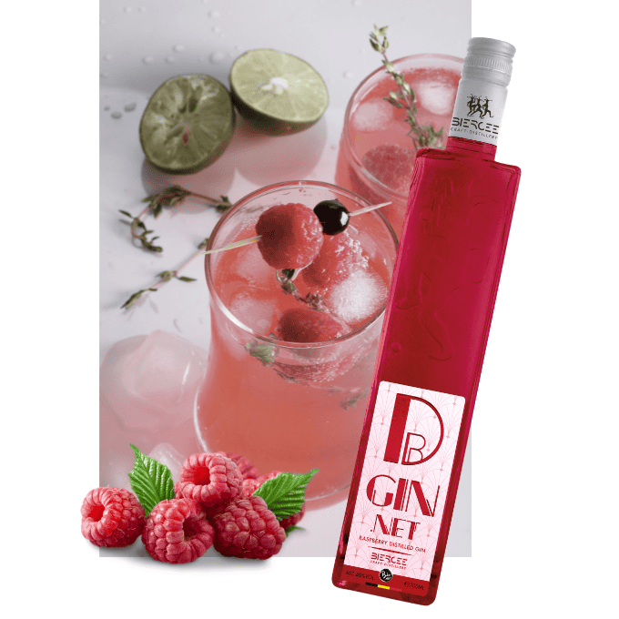 Gin.net