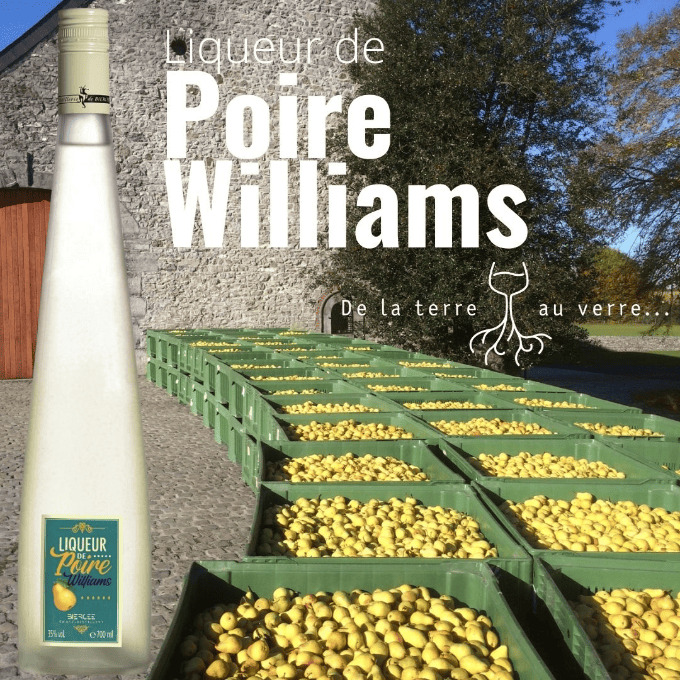 Liqueur de poires (680 x 680 px) (3)