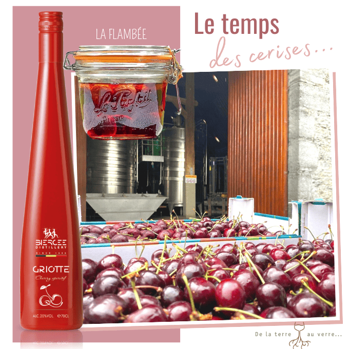 Arrivee cerises (680 x 680 px) (1)