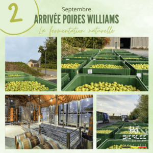 Arrivée poires septembre - 2