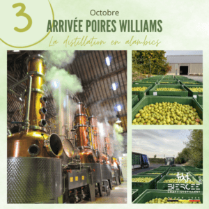 Arrivée poires septembre - 3